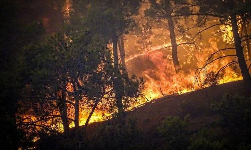 Φωτιά τώρα στον Αυλώνα: Τρία νέα μέτωπα ανά μία ώρα - Καταδίωξη οχήματος για εμπρησμό- Δύο προσαγωγές υπόπτων- 60 τραυματίες πυροσβέστες από τις πυρκαγιές